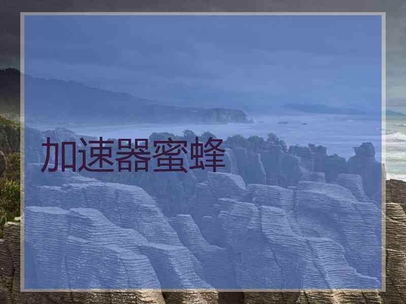 加速器蜜蜂