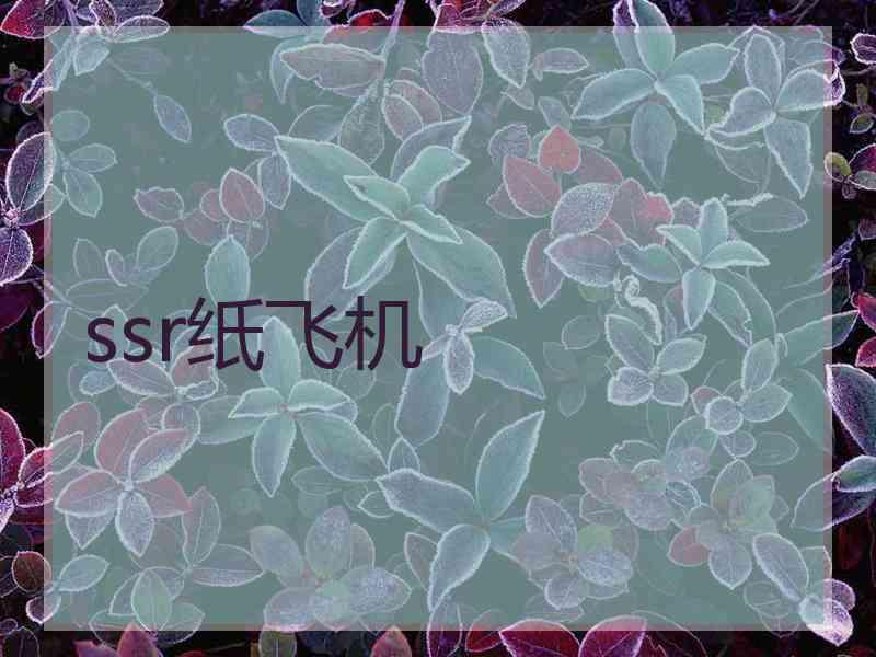 ssr纸飞机