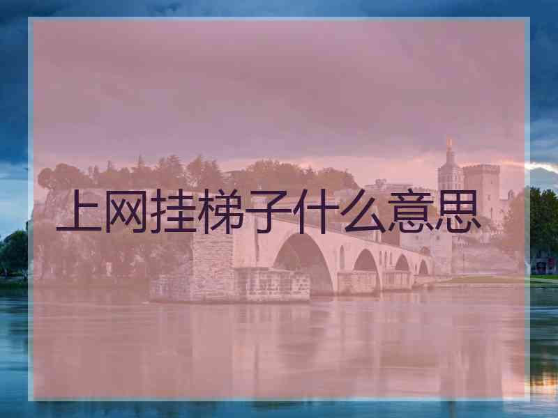 上网挂梯子什么意思
