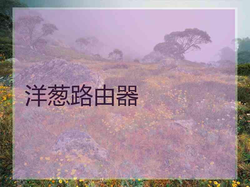 洋葱路由器