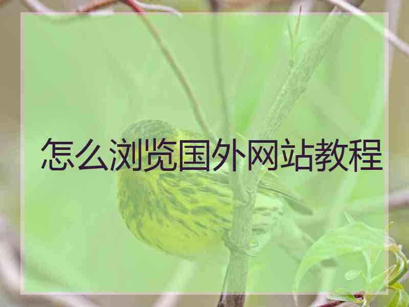 怎么浏览国外网站教程