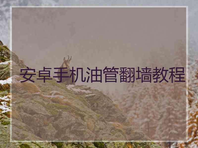 安卓手机油管翻墙教程