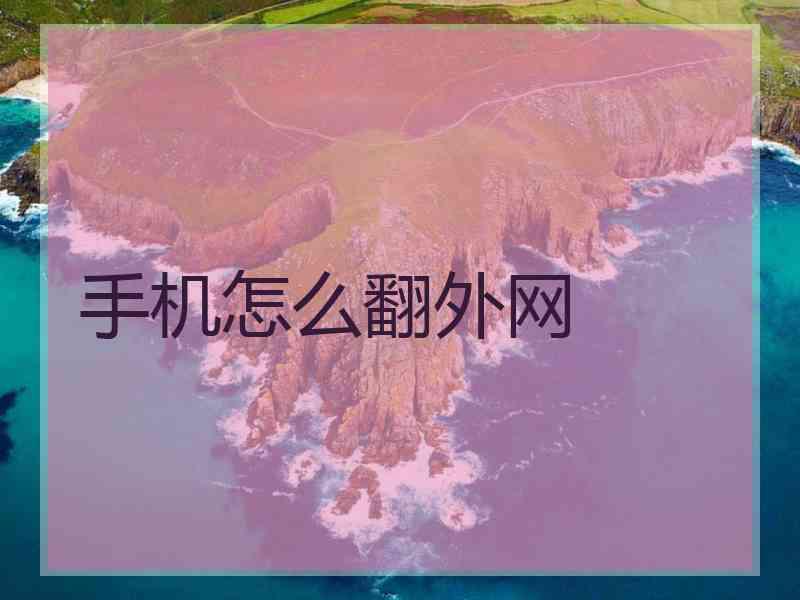 手机怎么翻外网