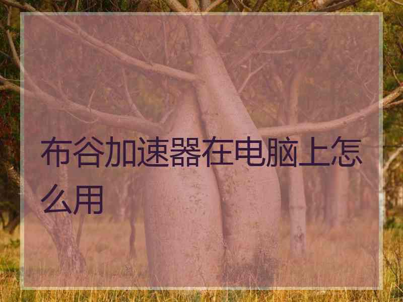 布谷加速器在电脑上怎么用