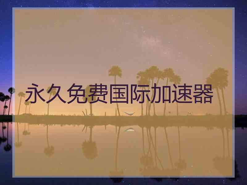 永久免费国际加速器
