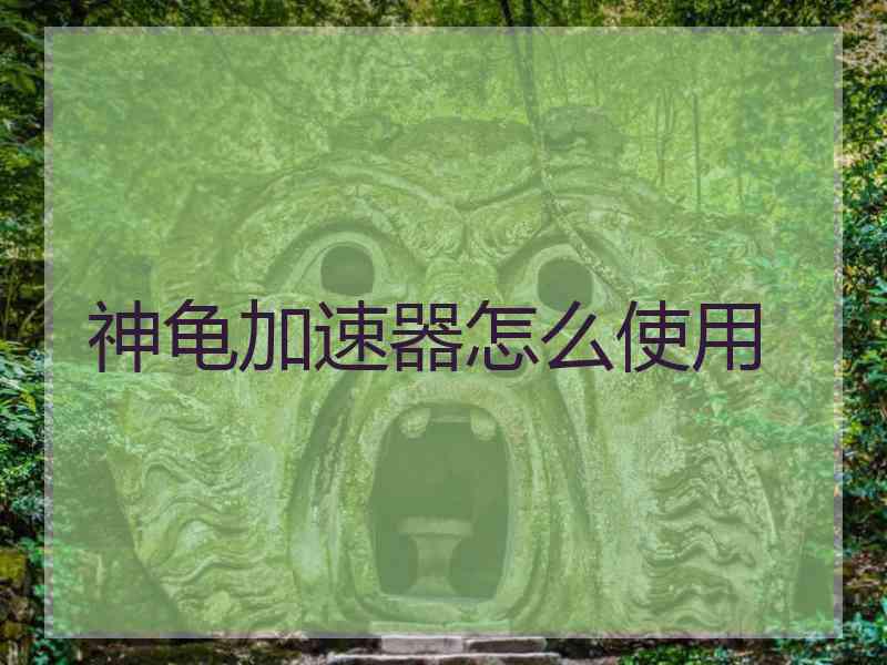 神龟加速器怎么使用
