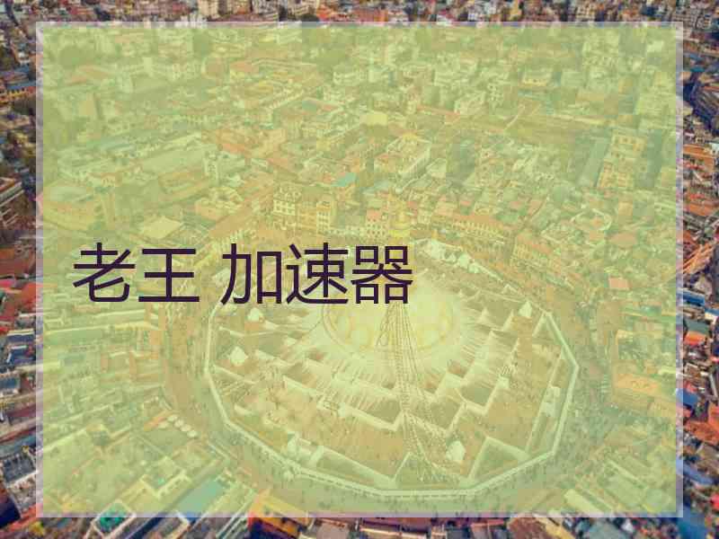 老王 加速器