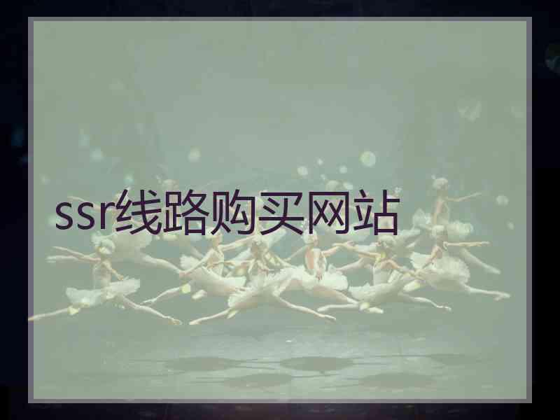 ssr线路购买网站