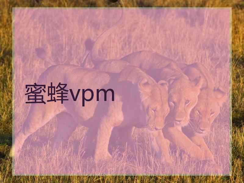 蜜蜂vpm