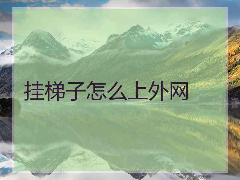 挂梯子怎么上外网