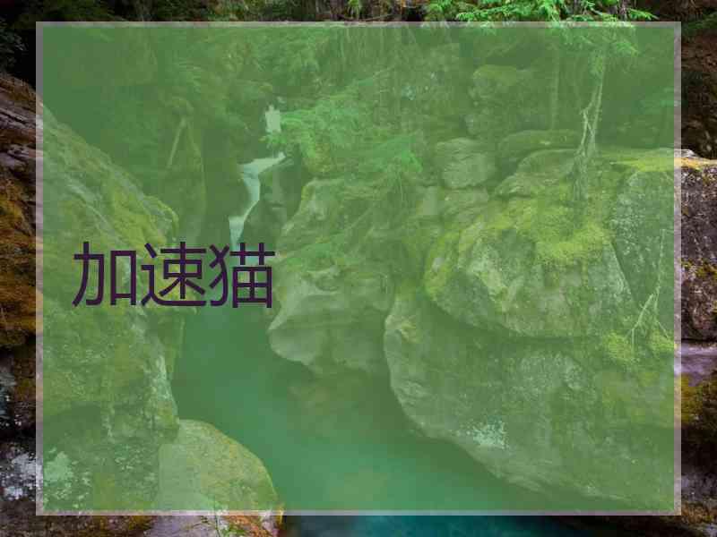 加速猫