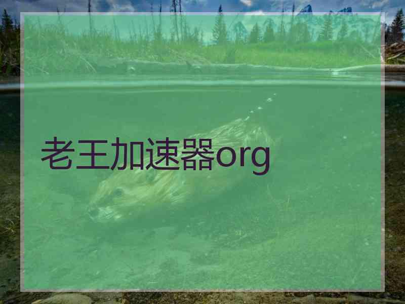 老王加速器org