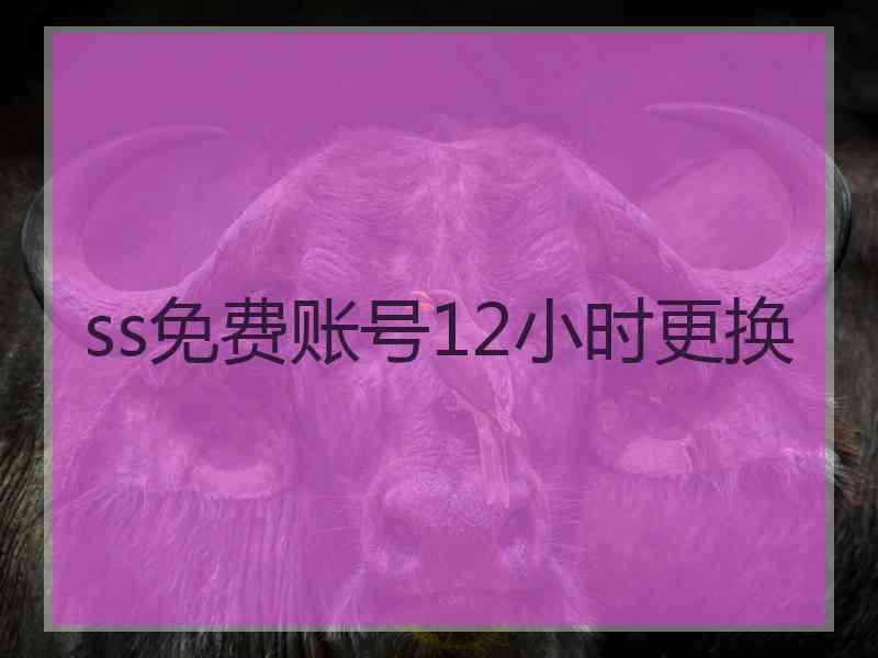 ss免费账号12小时更换