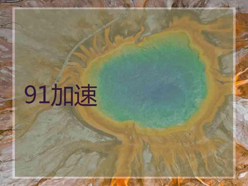 91加速