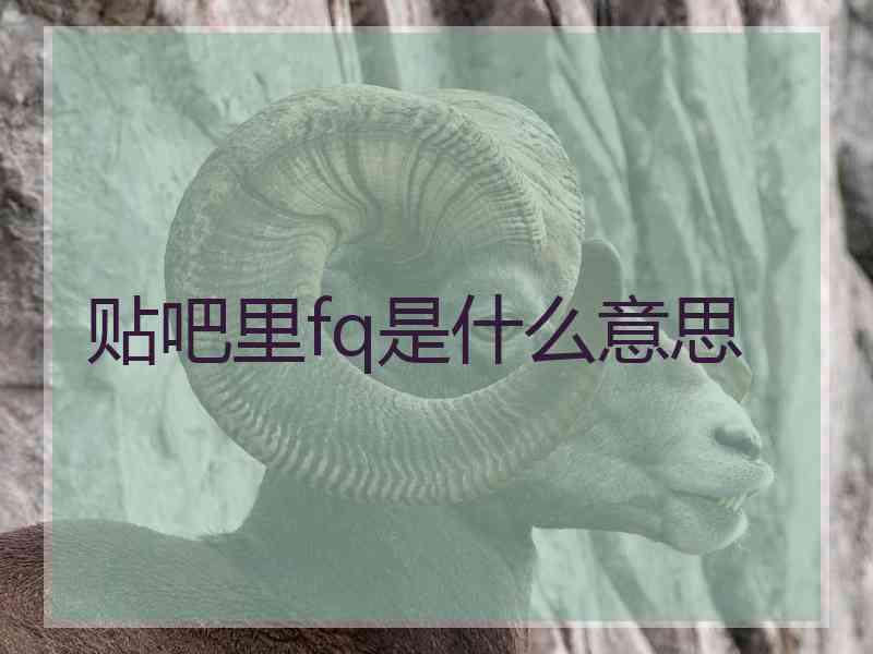 贴吧里fq是什么意思