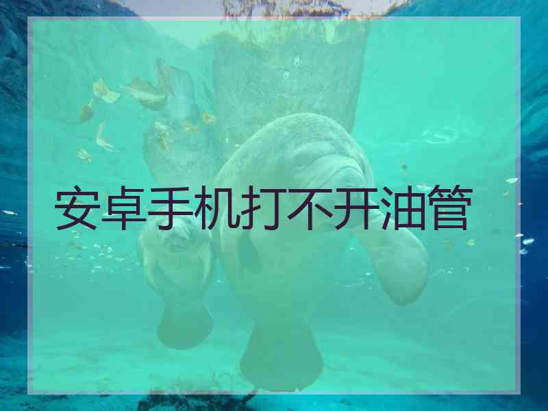 安卓手机打不开油管