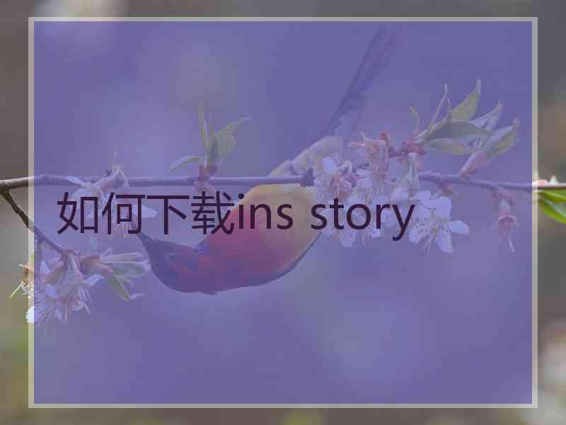 如何下载ins story