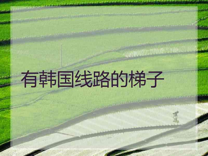 有韩国线路的梯子