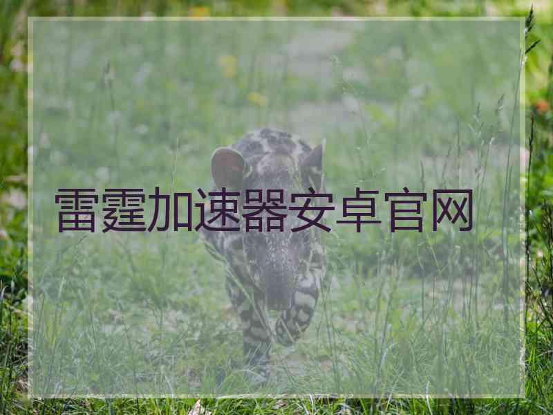 雷霆加速器安卓官网