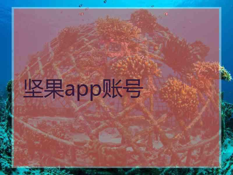 坚果app账号