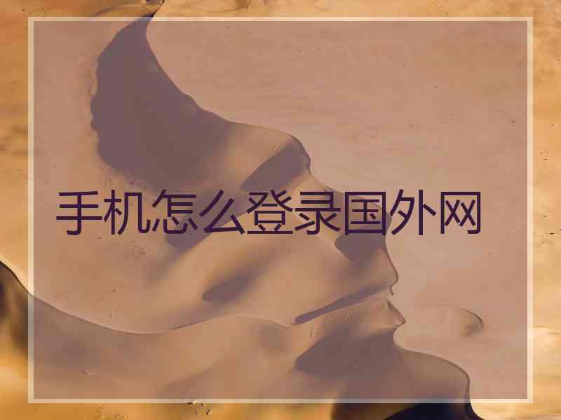 手机怎么登录国外网