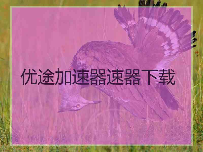 优途加速器速器下载