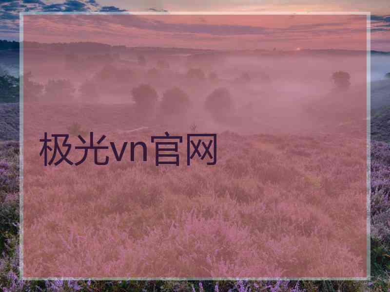 极光vn官网