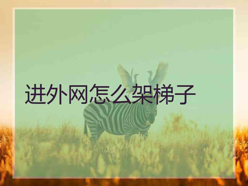 进外网怎么架梯子