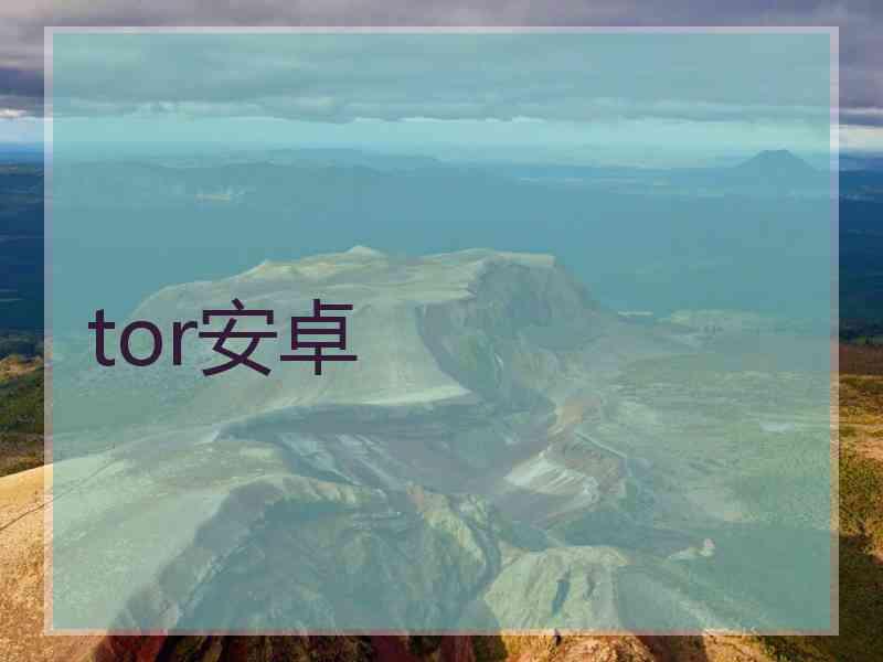 tor安卓