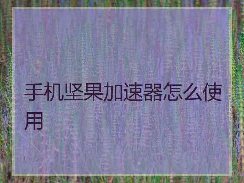 手机坚果加速器怎么使用