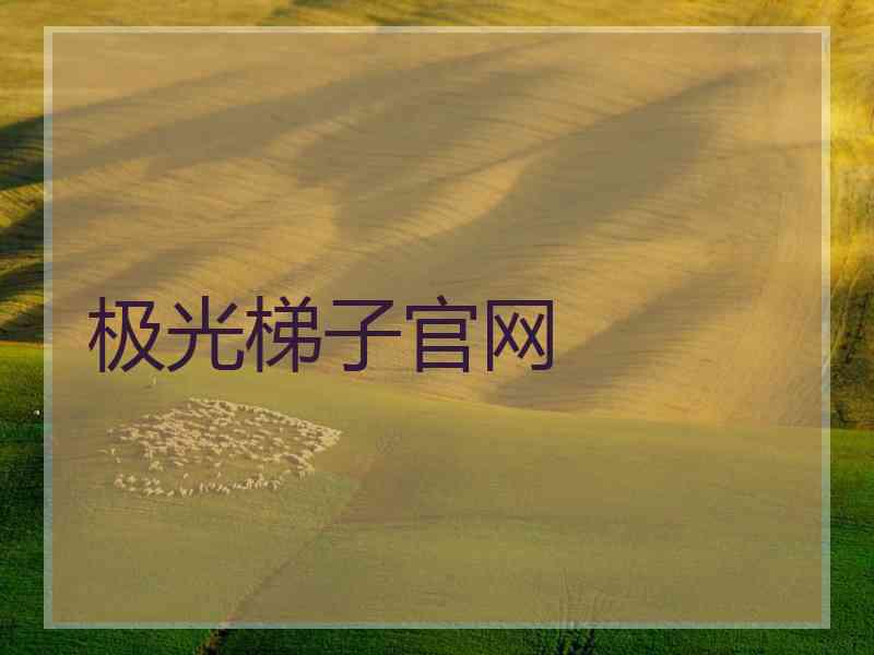 极光梯子官网