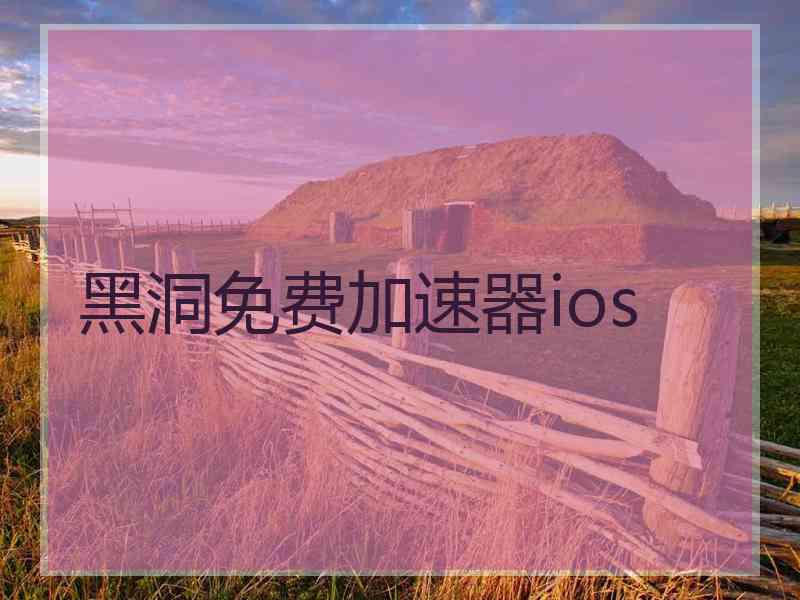 黑洞免费加速器ios