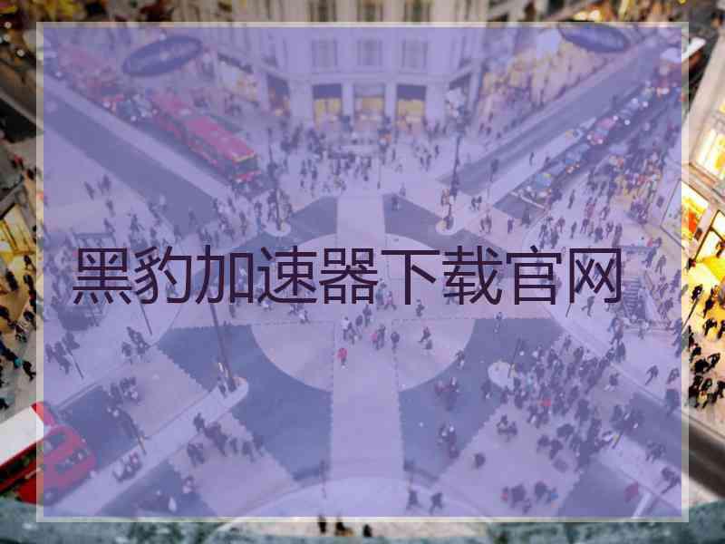 黑豹加速器下载官网