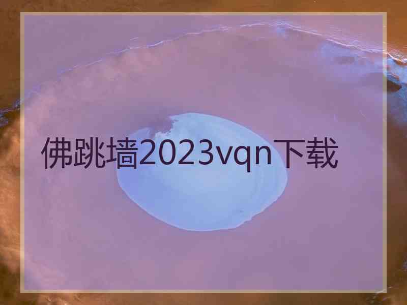 佛跳墙2023vqn下载