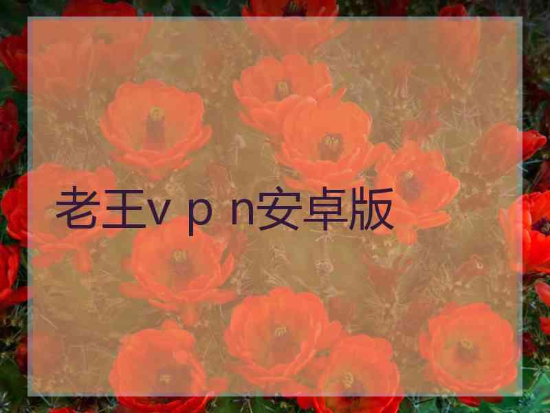 老王v p n安卓版