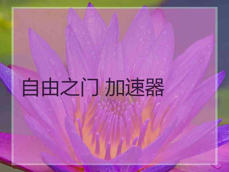自由之门 加速器