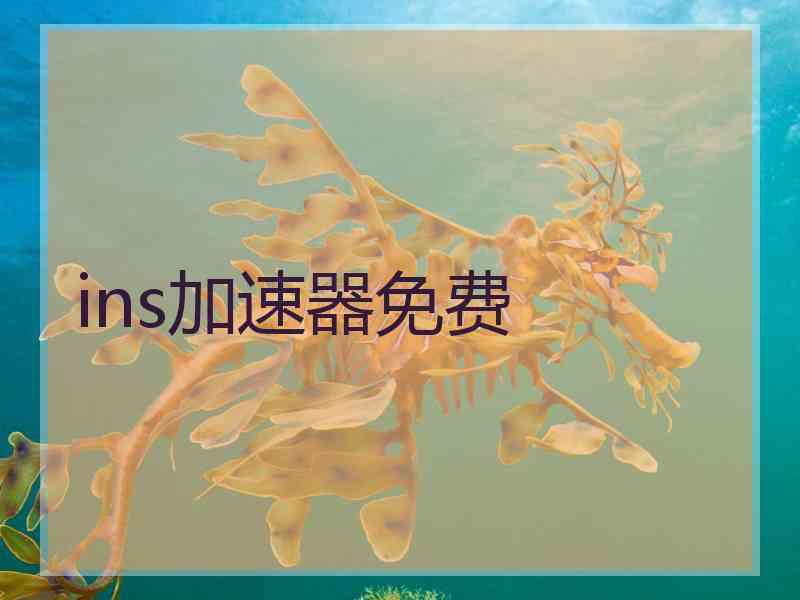 ins加速器免费