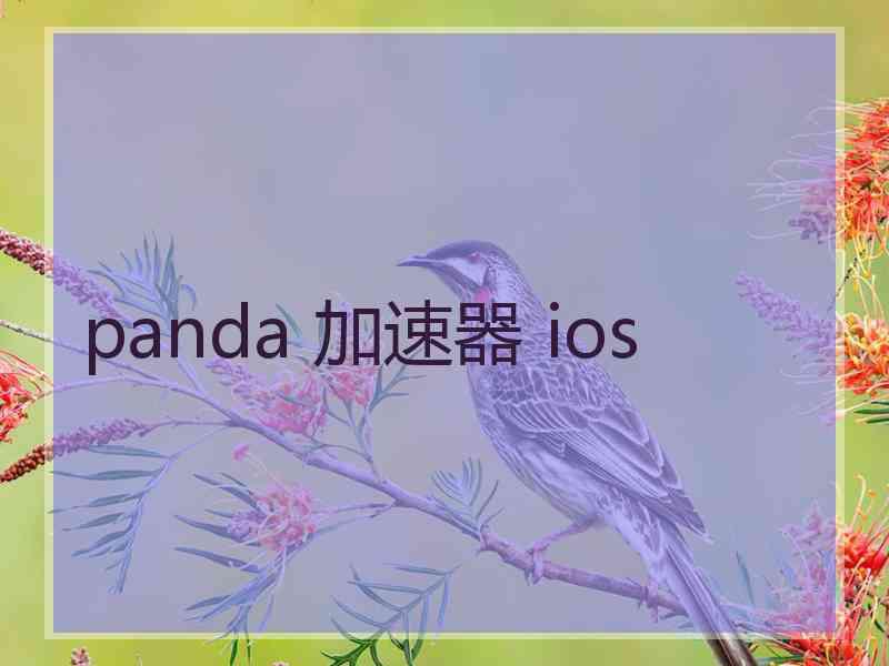 panda 加速器 ios