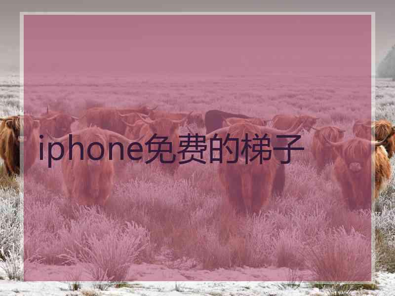 iphone免费的梯子