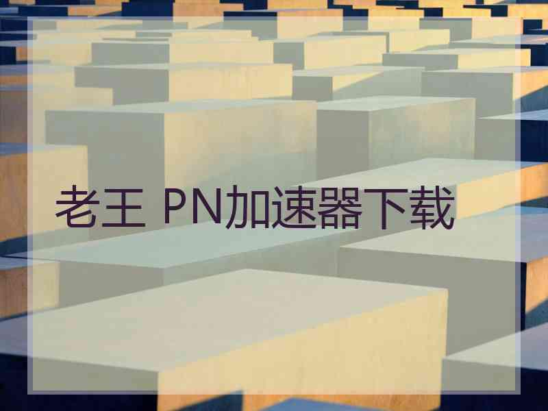 老王 PN加速器下载