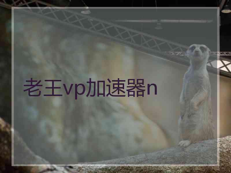 老王vp加速器n