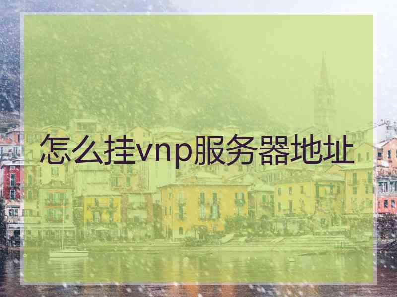怎么挂vnp服务器地址