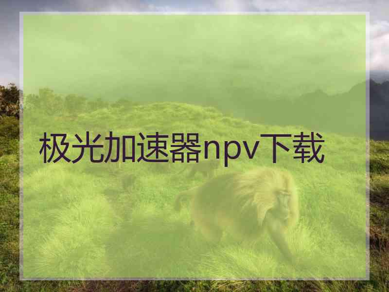 极光加速器npv下载
