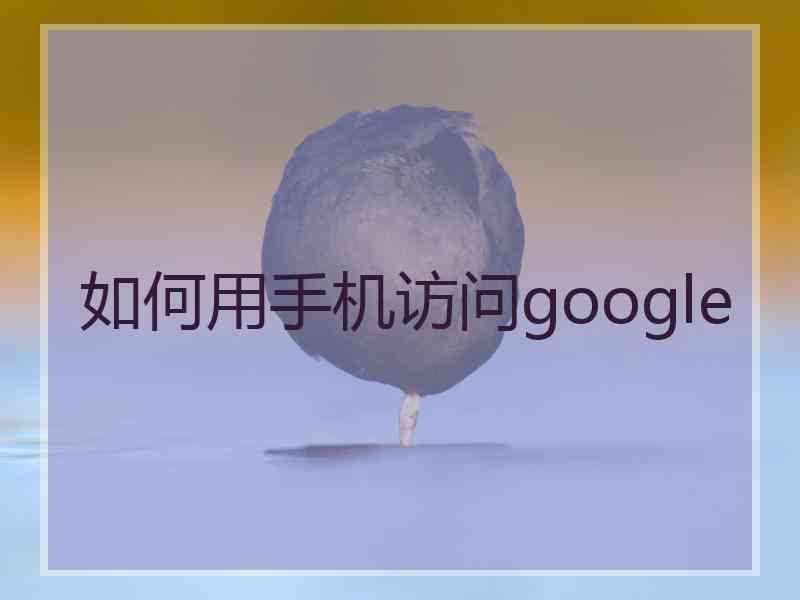 如何用手机访问google