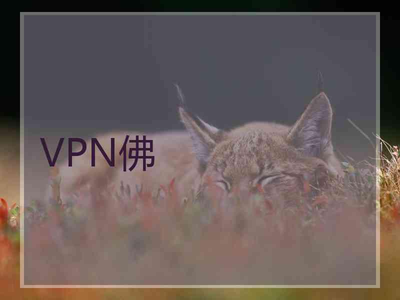 VPN佛