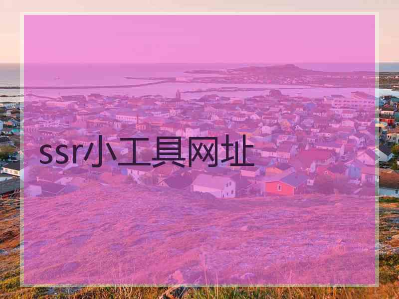 ssr小工具网址