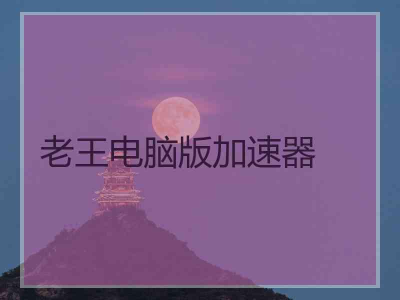 老王电脑版加速器