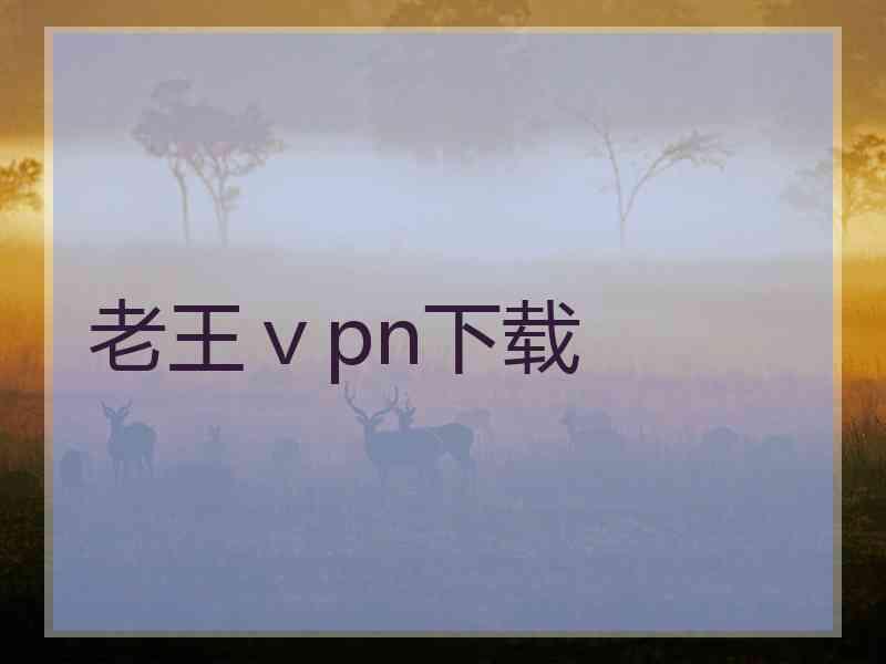 老王ⅴpn下载