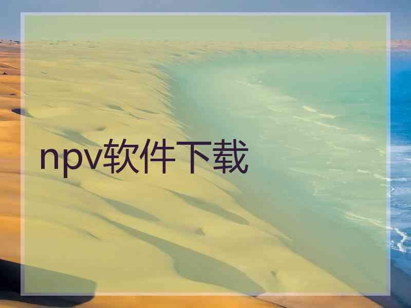 npv软件下载