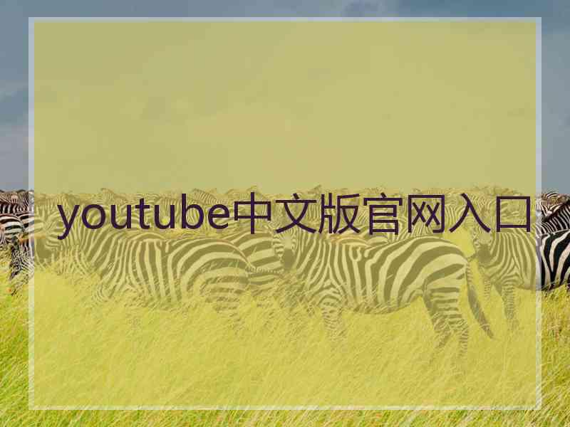 youtube中文版官网入口